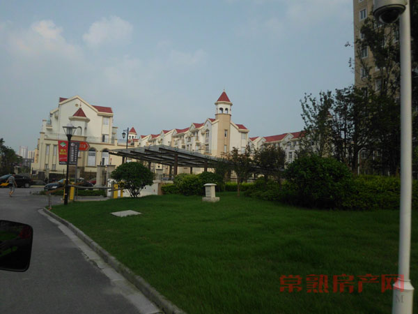 实景图