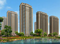 浙建太和丽都