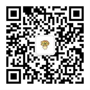 手机扫码加我为微信好友