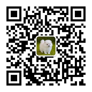 手机扫码加我为微信好友