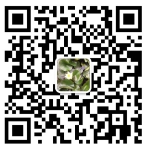 手机扫码加我为微信好友