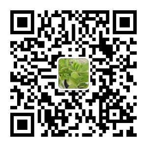 手机扫码加我为微信好友