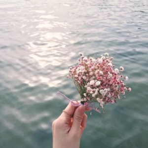 蒋亚秋