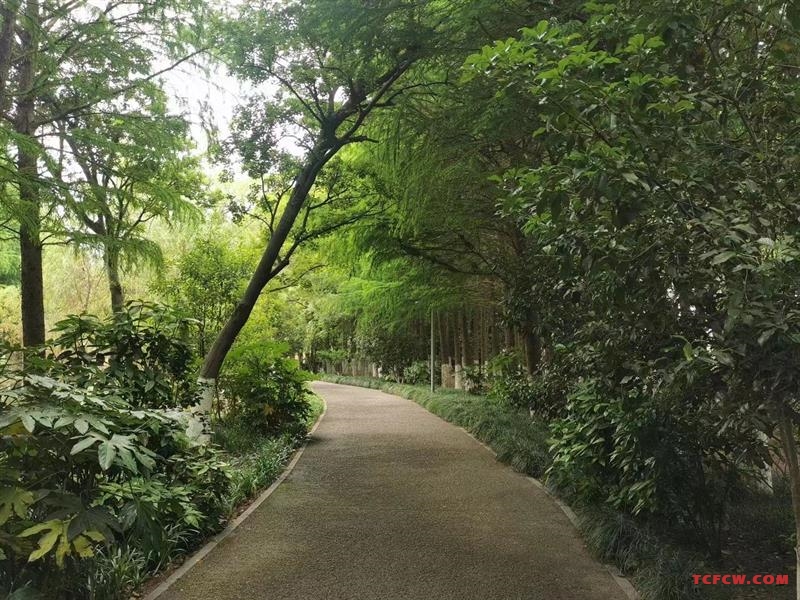 桃园四村1楼简装好房3房/2厅/1卫朝南65平米90万