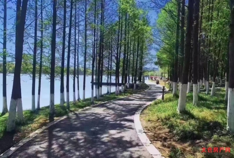 向东岛毛坯好房5房/2厅/4卫朝南329平米900万