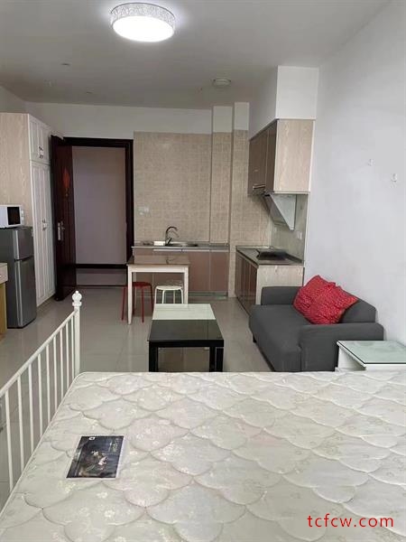 万达公寓精装公寓1房/1厅/1卫朝南45平米2000元/月