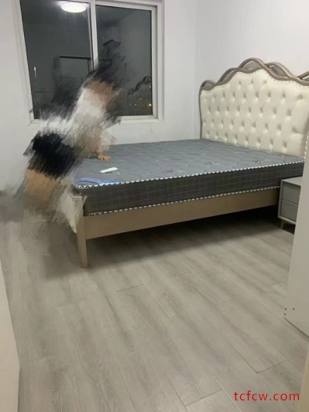 盛大花园精装好房2房/2厅/1卫朝南85平米2300元/月