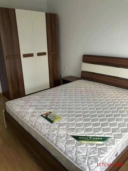 中南世纪城，精装，3房/2厅/1卫，89平，3000元/月