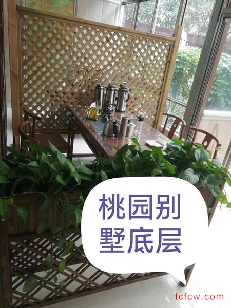桃园四村别墅精装好房1房/1厅/1卫朝南140平米5000元/月
