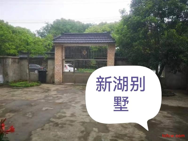 新湖别墅精装别墅多房/3厅/4卫朝南380平米7000元/月