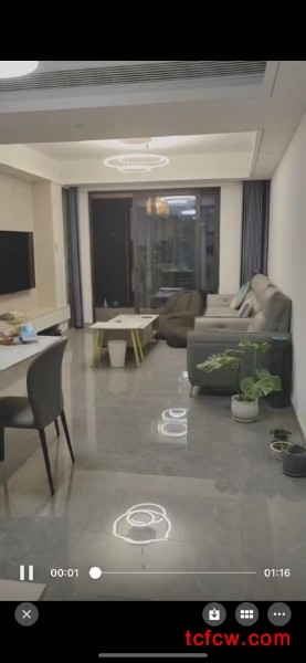 天境湖旁豪装4/2/2出租