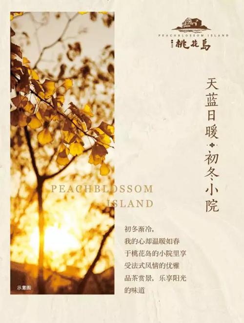 法式惬意 初冬院落生活小纪