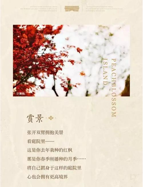 法式惬意 初冬院落生活小纪