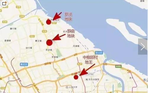 新年纯宅地第一拍 罗泾拍出23.6亿高价