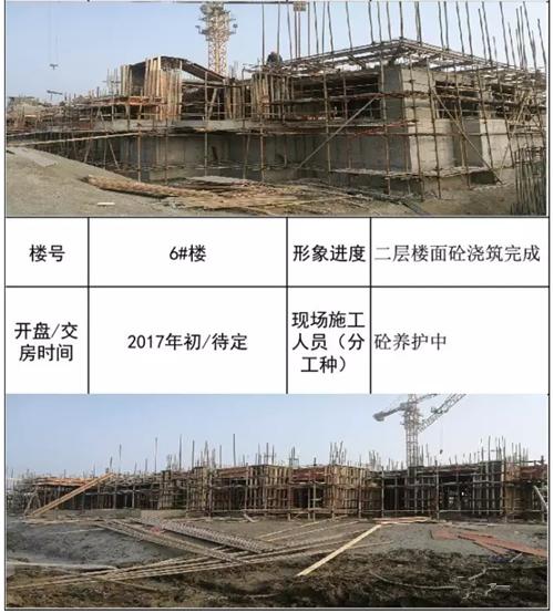 韵湖豪庭1月3日项目施工现场形象进度表