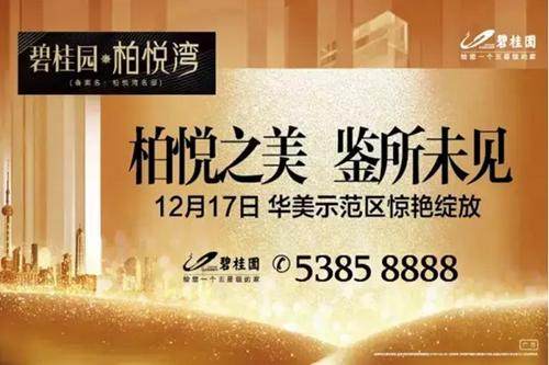 【16有你，17 前行】柏悦湾大事记