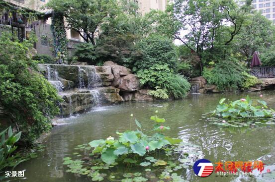 舒适便利的生活 从星雨华府开始