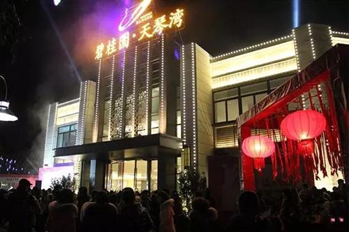 碧桂园天琴湾浓情闹元宵 开启璜泾幸福时光